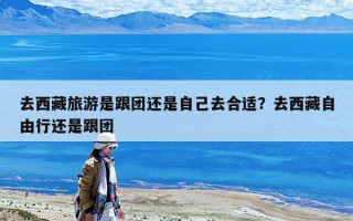 去西藏旅游是跟團還是自己去合適？去西藏自由行還是跟團