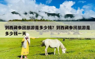 到西藏參團旅游是多少錢？到西藏參團旅游是多少錢一天