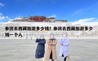 參團去西藏旅游多少錢？參團去西藏旅游多少錢一個人
