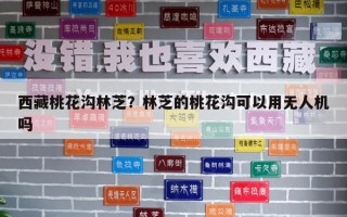 西藏桃花溝林芝？林芝的桃花溝可以用無人機(jī)嗎