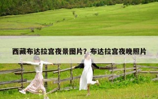 西藏布達拉宮夜景圖片？布達拉宮夜晚照片