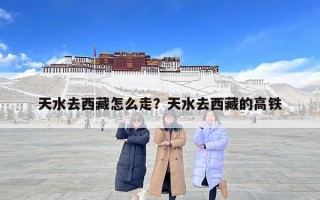 天水去西藏怎么走？天水去西藏的高鐵