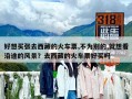 好想買張去西藏的火車票,不為別的,就想看沿途的風(fēng)景？去西藏的火車票好買嗎