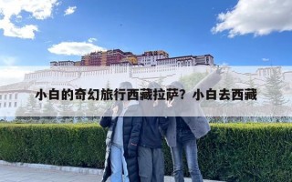 小白的奇幻旅行西藏拉薩？小白去西藏
