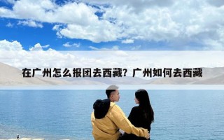 在廣州怎么報團(tuán)去西藏？廣州如何去西藏