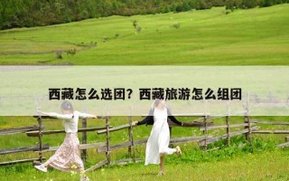 西藏怎么選團(tuán)？西藏旅游怎么組團(tuán)