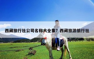 西藏旅行社公司名稱大全集？西藏旅游旅行社