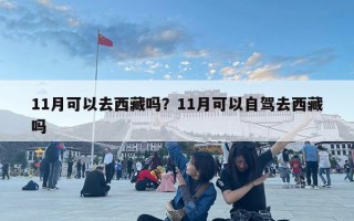 11月可以去西藏嗎？11月可以自駕去西藏嗎