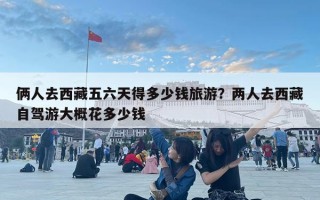 倆人去西藏五六天得多少錢旅游？?jī)扇巳ノ鞑刈择{游大概花多少錢