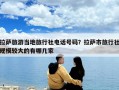 拉薩旅游當地旅行社電話號碼？拉薩市旅行社規模較大的有哪幾家
