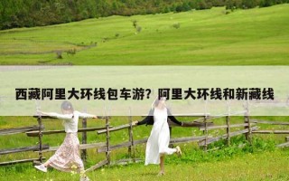 西藏阿里大環線包車游？阿里大環線和新藏線
