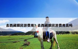去西藏跟團(tuán)游費(fèi)用？去西藏跟團(tuán)游費(fèi)用高嗎