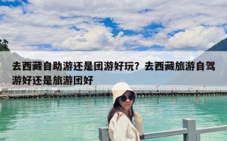 去西藏自助游還是團游好玩？去西藏旅游自駕游好還是旅游團好