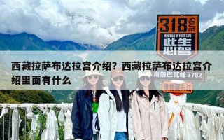 西藏拉薩布達(dá)拉宮介紹？西藏拉薩布達(dá)拉宮介紹里面有什么