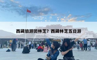 西藏旅游團林芝？西藏林芝五日游