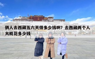 倆人去西藏五六天得多少錢啊？去西藏兩個人大概花多少錢