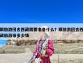 跟旅游團去西藏需要準備什么？跟旅游團去西藏旅游帶多少錢