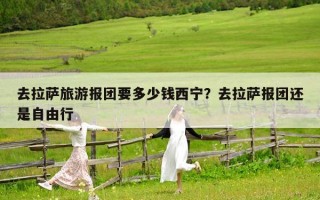 去拉薩旅游報(bào)團(tuán)要多少錢西寧？去拉薩報(bào)團(tuán)還是自由行