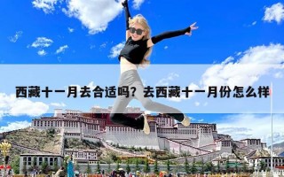 西藏十一月去合適嗎？去西藏十一月份怎么樣