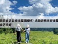 旅游自己去好還是跟團好？去旅游跟團好還是自己玩好