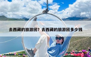 去西藏的旅游團？去西藏的旅游團多少錢