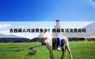去西藏人均消費多少？西藏生活消費高嗎