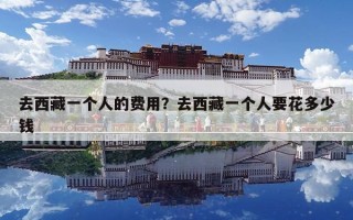 去西藏一個人的費用？去西藏一個人要花多少錢
