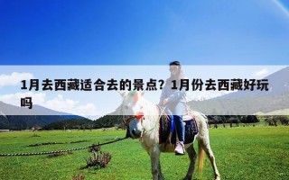 1月去西藏適合去的景點？1月份去西藏好玩嗎