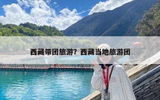 西藏帶團旅游？西藏當地旅游團