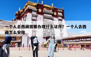一個(gè)人去西藏需要辦理什么證件?一個(gè)人去西藏怎么安排 一個(gè)人去西藏需要辦理什么證件?一個(gè)人去西藏怎么安排