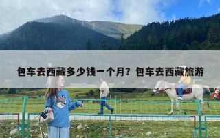 包車去西藏多少錢一個月？包車去西藏旅游