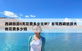 西藏旅游8天花費多少元?。孔择{西藏旅游大概花費多少錢