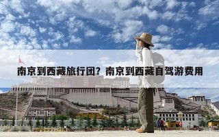 南京到西藏旅行團？南京到西藏自駕游費用