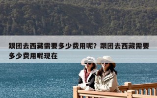 跟團去西藏需要多少費用呢？跟團去西藏需要多少費用呢現在
