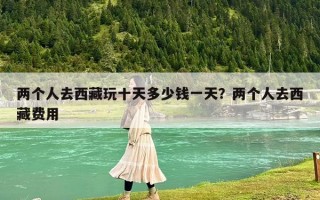 兩個(gè)人去西藏玩十天多少錢(qián)一天？?jī)蓚€(gè)人去西藏費(fèi)用