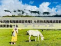 七月份去西藏旅游攻略？七月份去西藏旅游都需要準備什么
