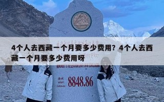 4個人去西藏一個月要多少費用？4個人去西藏一個月要多少費用呀