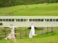 鄭州到西藏飛機(jī)票價(jià)？鄭州到西藏飛機(jī)票價(jià)格表