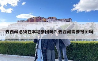 去西藏必須在本地參團嗎？去西藏需要報團嗎