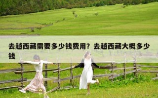去趟西藏需要多少錢費用？去趟西藏大概多少錢