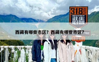 西藏有哪些市區(qū)？西藏有哪些市區(qū)?