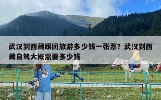武漢到西藏跟團旅游多少錢一張票？武漢到西藏自駕大概需要多少錢