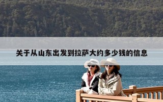 關于從山東出發到拉薩大約多少錢的信息