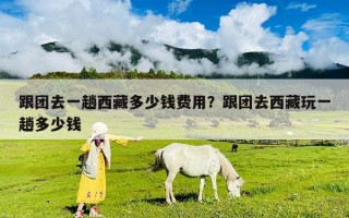 跟團去一趟西藏多少錢費用？跟團去西藏玩一趟多少錢