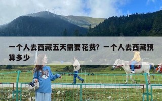 一個人去西藏五天需要花費？一個人去西藏預算多少
