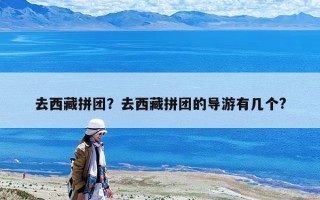 去西藏拼團？去西藏拼團的導游有幾個?