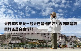 去西藏和朋友一起去還是組團(tuán)好？去西藏是跟團(tuán)好還是自由行好