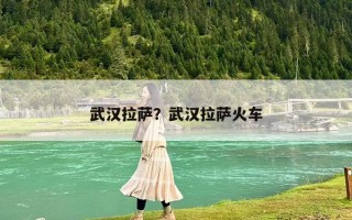 武漢拉薩？武漢拉薩火車(chē)