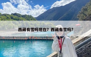 西藏有雪嗎現在？西藏有雪嗎?