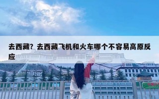 去西藏？去西藏飛機(jī)和火車(chē)哪個(gè)不容易高原反應(yīng)